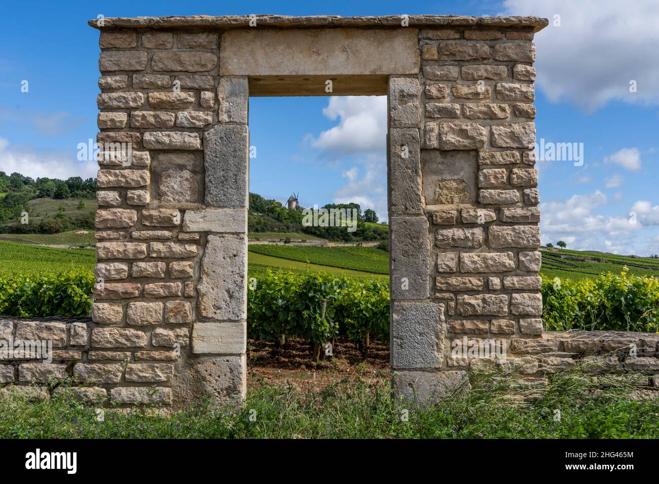 Tor und Mühle von Santenay im Burgund in Frankreich mit großen Weingärten an einem Sommertag. Stockfoto