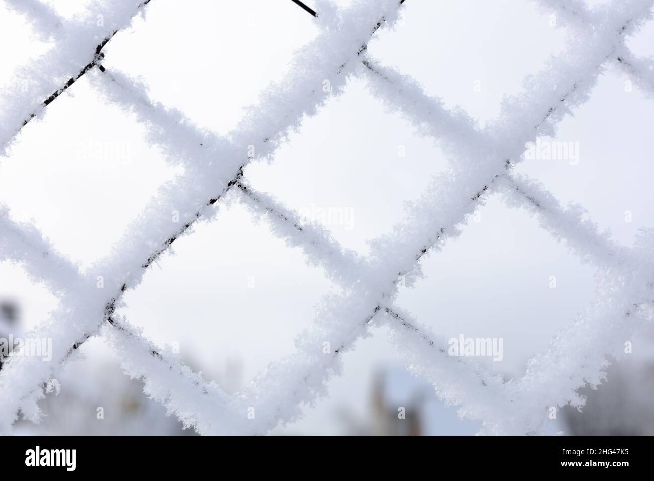 Nahaufnahme eines schneebedeckten Netzes mit hellblauem Himmel im Hintergrund, der den eingeschränkten Bereich einschränkt. Exil nach Sibirien. Proteste mit Menschen, die nach draußen gehen Stockfoto