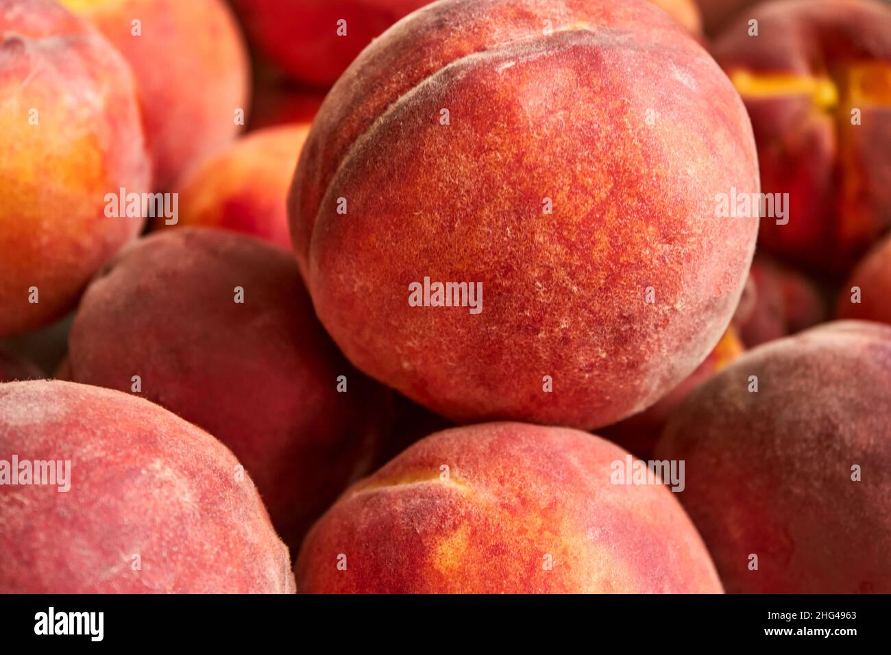 Ein perfekt reifer orangefarbener Pfirsich, der auf einem Haufen anderer Früchte liegt. Seitenansicht. Die sommerliche Obsternte ist ein guter Plan. Sommer horizontaler Hintergrund. Stockfoto
