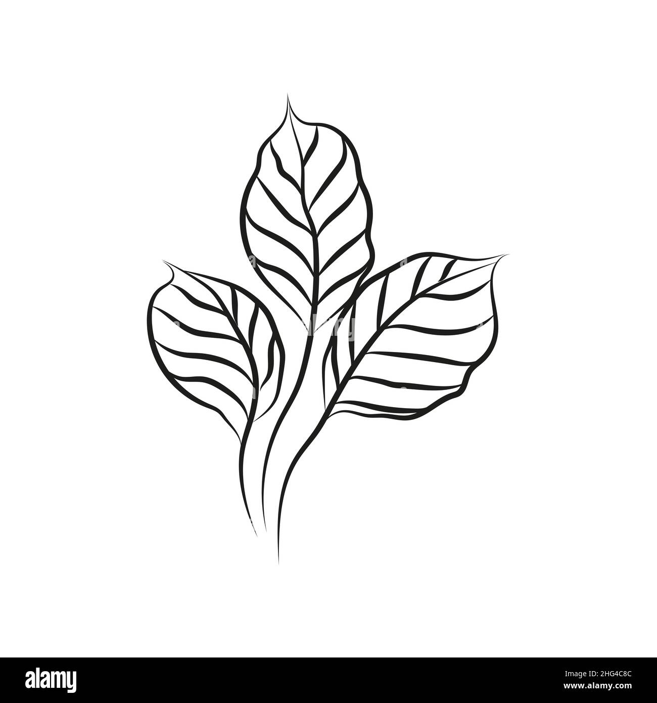 Blattlogo-Design, Vektor-natürliche Konzept Inspiration, Blatt-Symbol. Blätter Stock Vektor