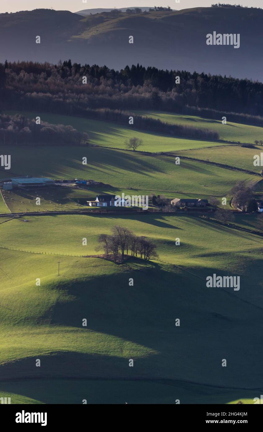 Farmland in der Nähe von Perth (Schottland Stockfoto