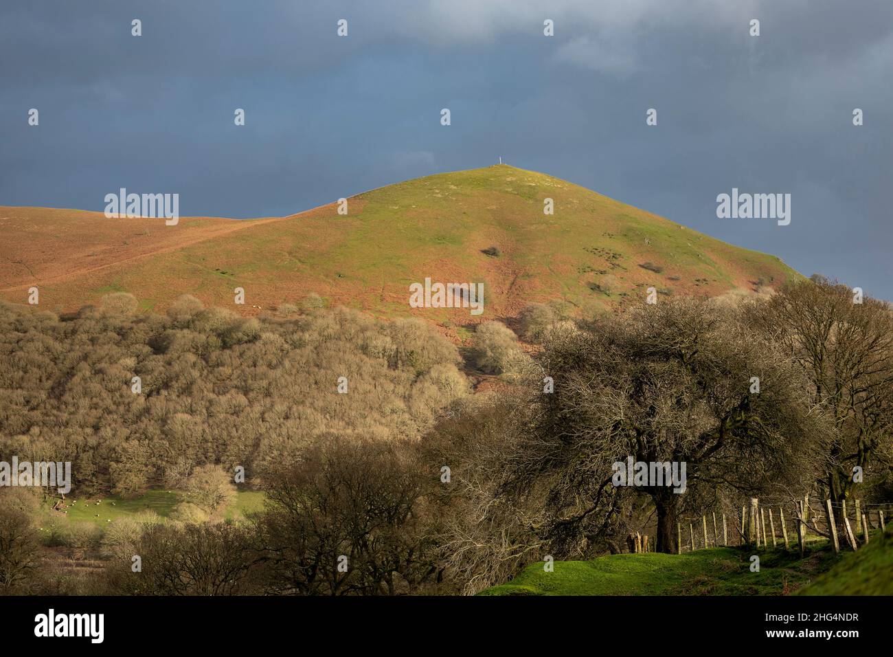 The Long Mynd, in der Nähe von Church Stretton, Shropshire Hills AONB Stockfoto