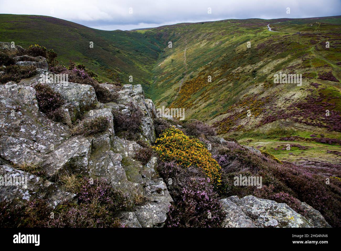 The Long Mynd, in der Nähe von Church Stretton, Shropshire Hills AONB Stockfoto