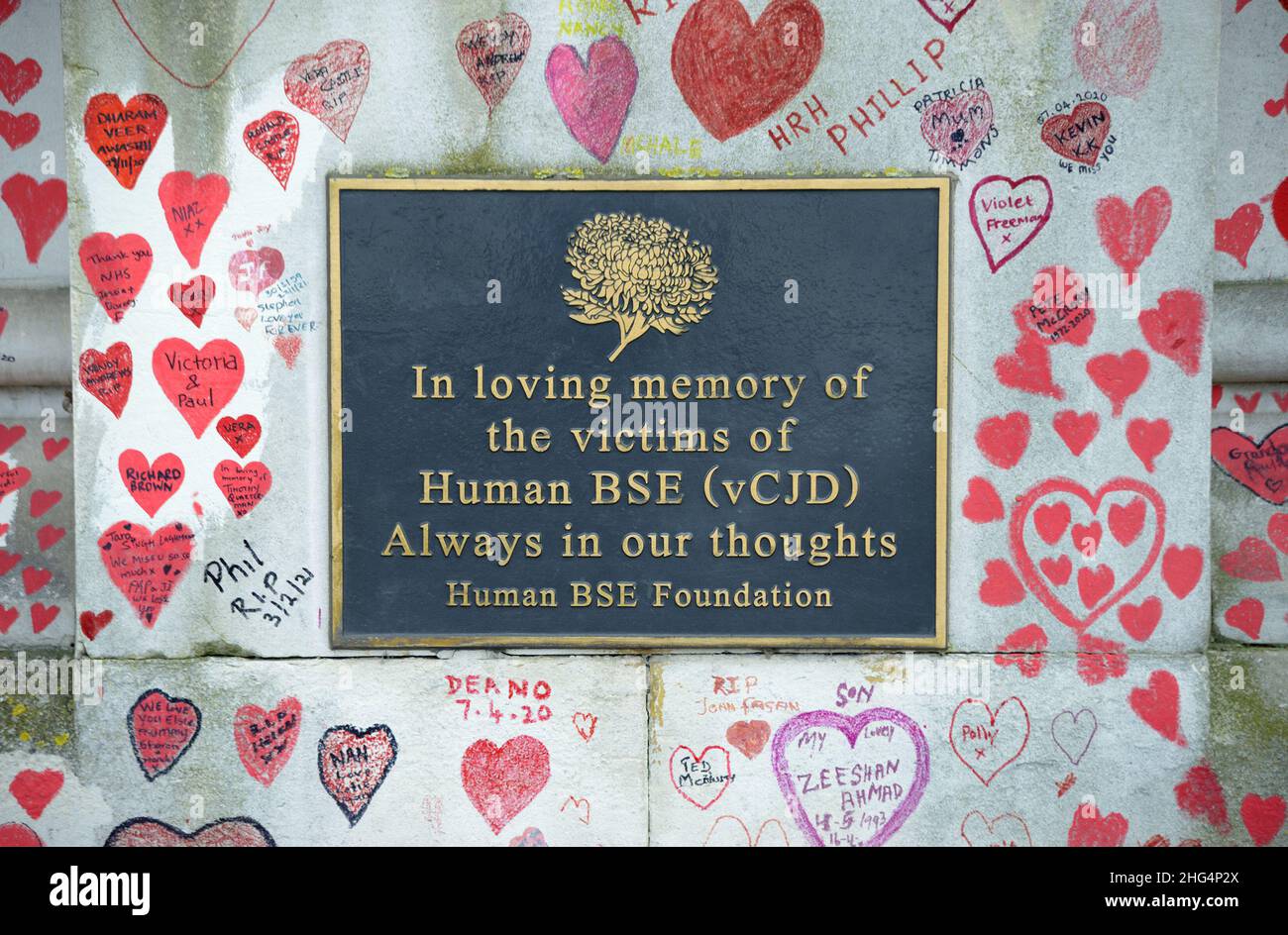 London, England, Großbritannien. National Covid Memorial Wall am Ufer der Themse, gegenüber dem Parlamentsgebäude, 150 000 Herzen zum Gedenken an die li Stockfoto