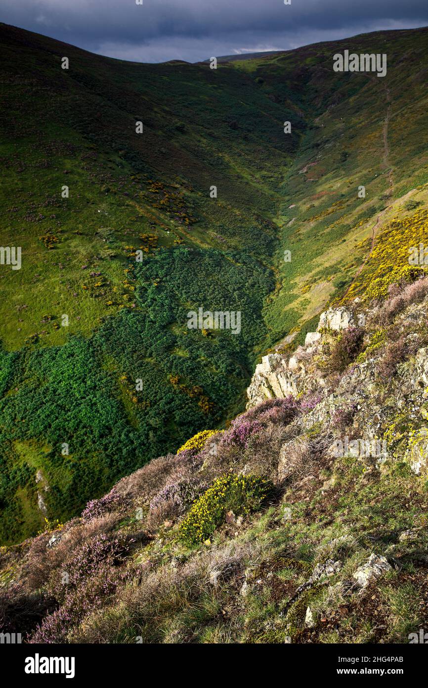 The Long Mynd, in der Nähe von Church Stretton, Shropshire Hills AONB Stockfoto