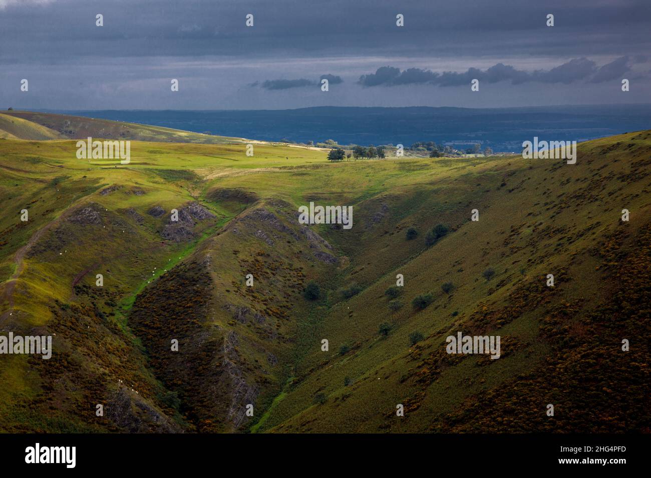 Golf Couse, The Long Mynd, in der Nähe von Church Stretton, Shropshire Hills AONB Stockfoto