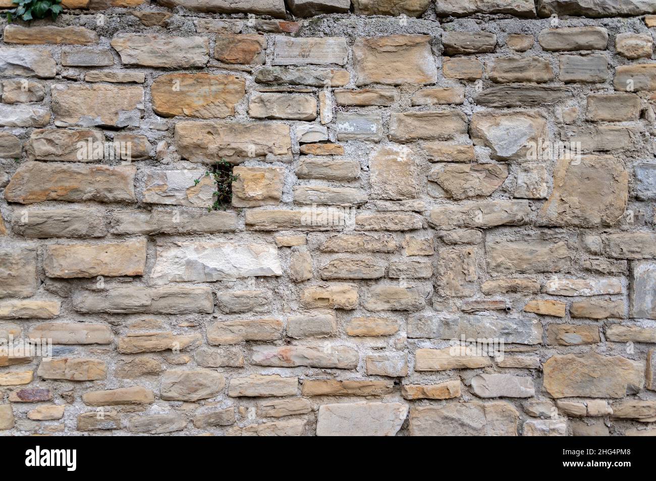 Steinmauer Stockfoto