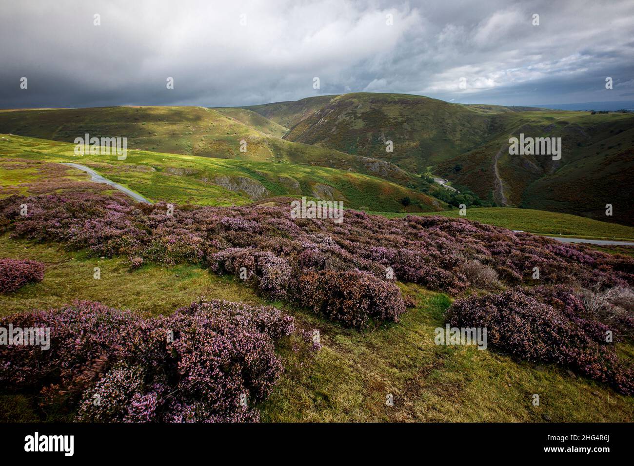 The Long Mynd, in der Nähe von Church Stretton, Shropshire Hills AONB Stockfoto