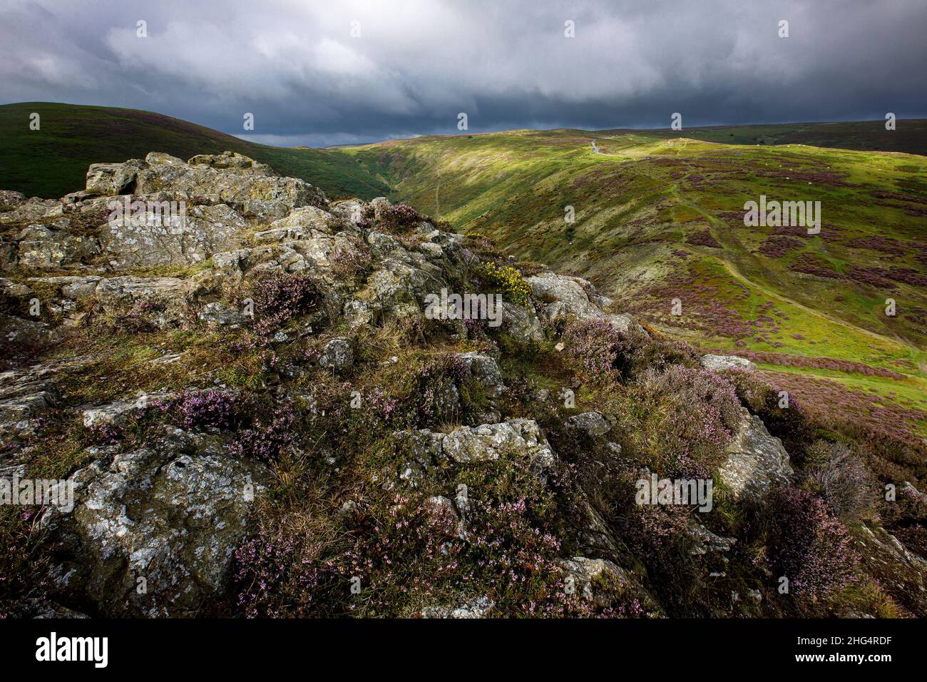 The Long Mynd, in der Nähe von Church Stretton, Shropshire Hills AONB Stockfoto
