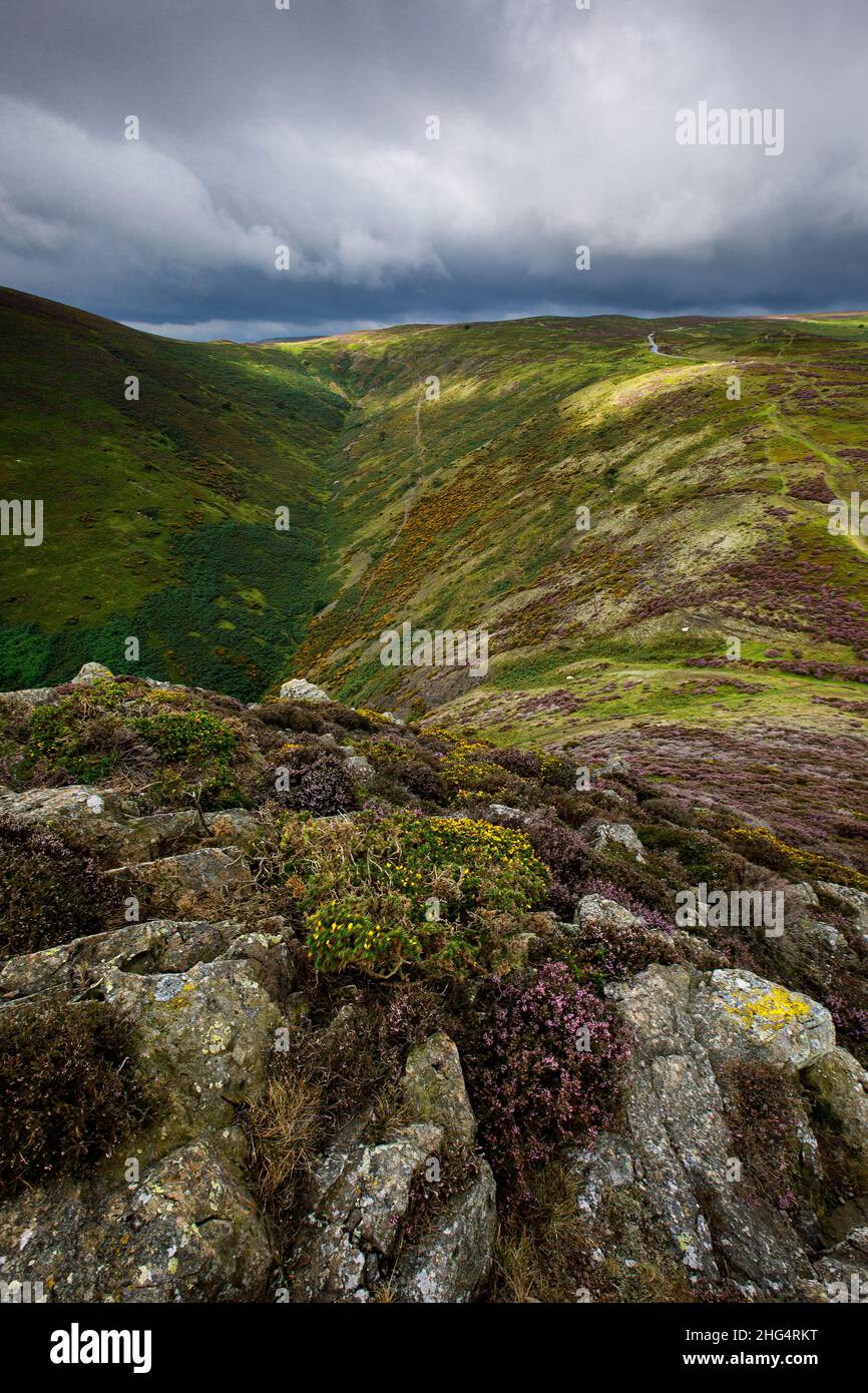 The Long Mynd, in der Nähe von Church Stretton, Shropshire Hills AONB Stockfoto