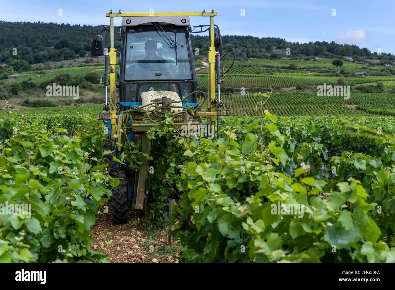 Santenay, Frankreich - 2. Juli 2020: Maschine, Traktor, verwendet auf den Weinbergen in Santenay, Burgund, Frankreich. Stockfoto