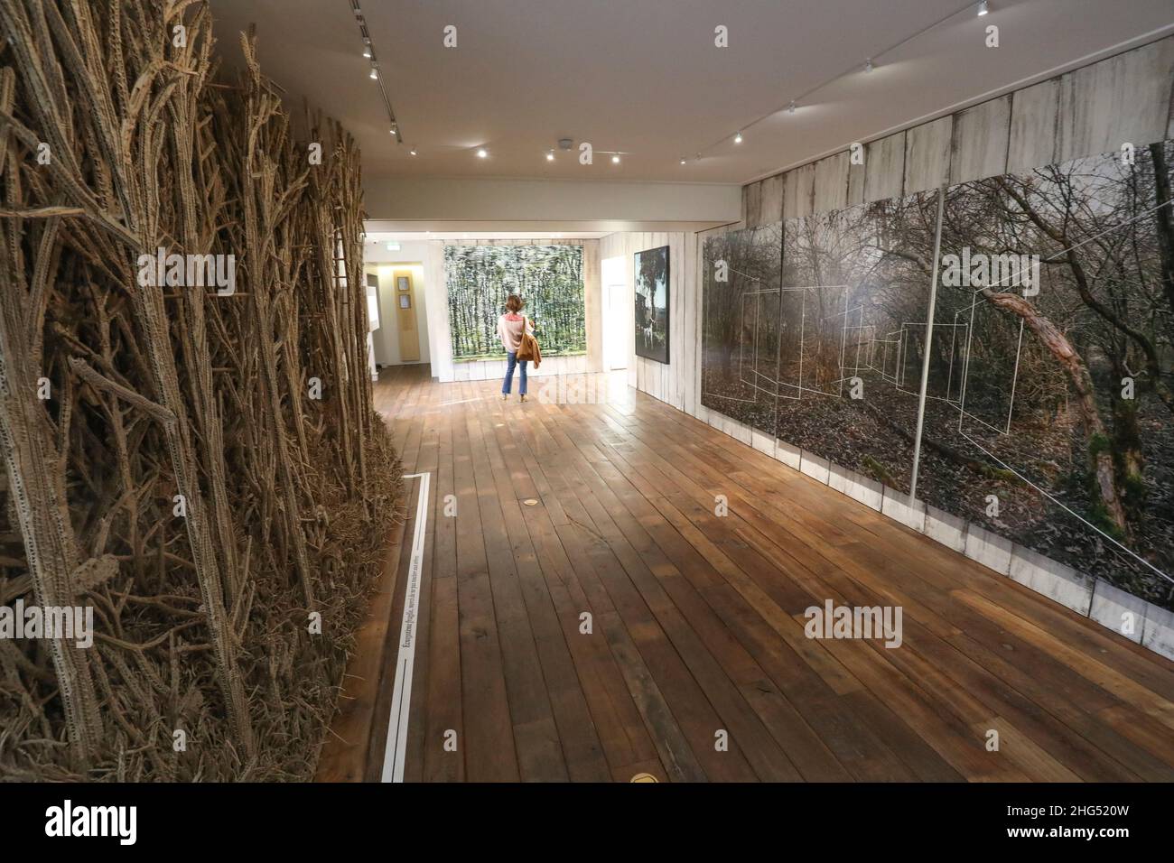 MUSEUM FÜR JAGD UND NATUR, PARIS Stockfoto