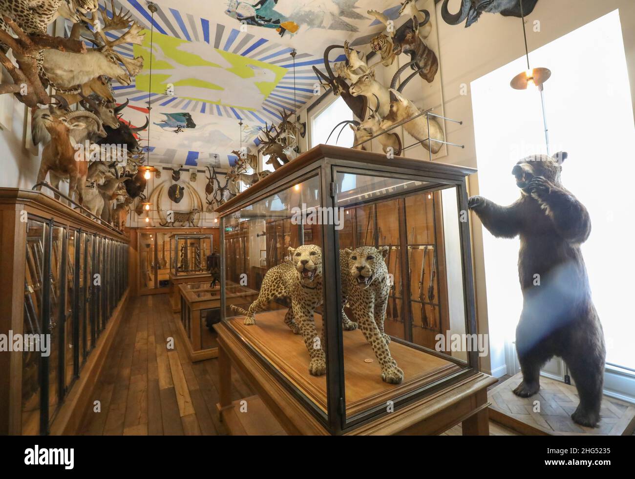 MUSEUM FÜR JAGD UND NATUR, PARIS Stockfoto