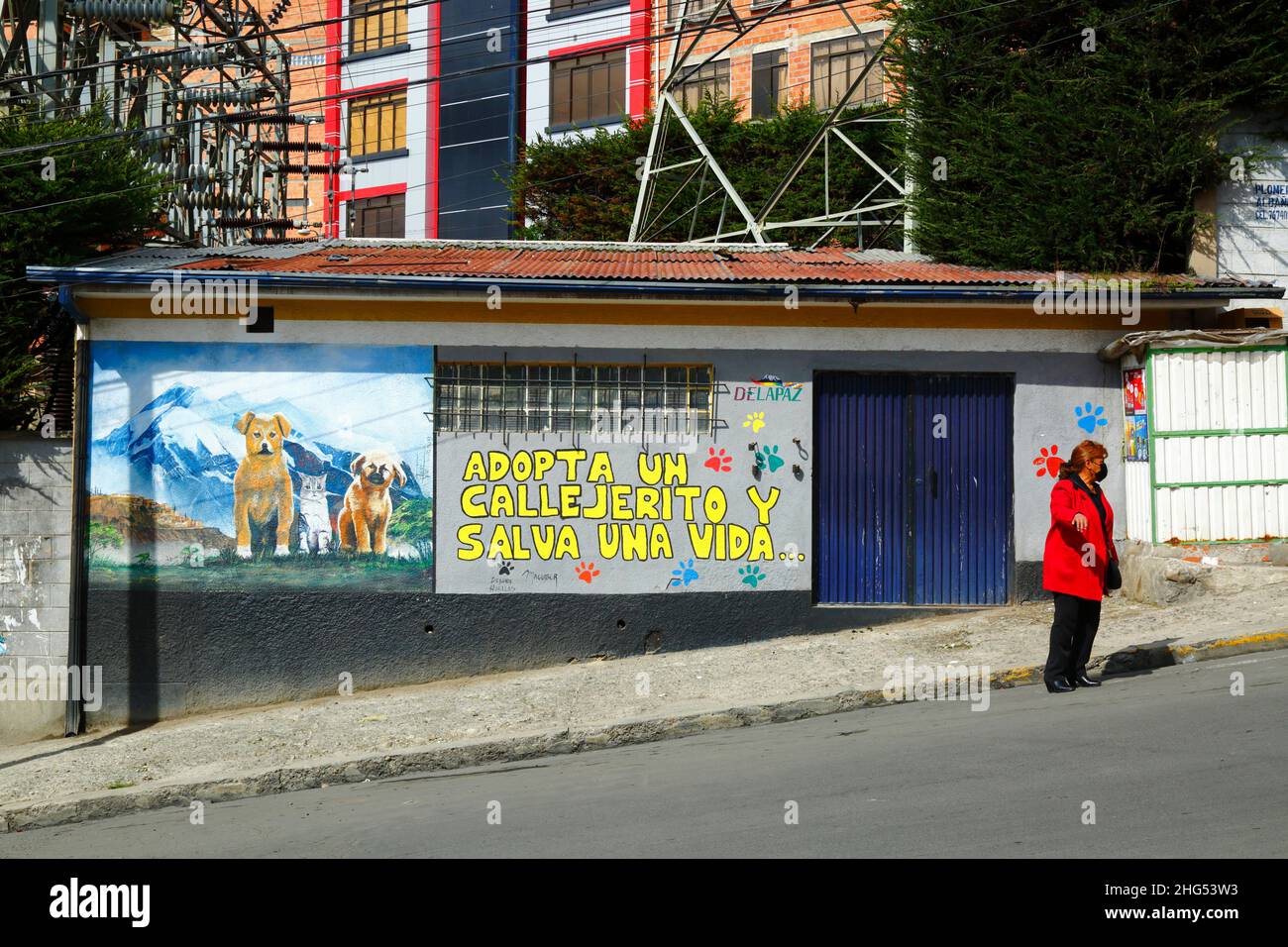 Wandgemälde an der Außenseite des Gebäudes im Stadtteil Tembladerani, das die Menschen ermutigt, streunende Tiere als Haustiere anzunehmen, anstatt neue zu kaufen. Wie viele Städte in Lateinamerika haben auch La Paz und das benachbarte El Alto eine große Population von Straßenhunden, von denen viele verlassene Haustiere sind und eine Gefahr für Gesundheit und Sicherheit darstellen können. La Paz, Bolivien Stockfoto