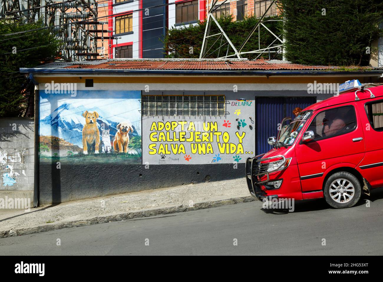 Roter Minibus, der an der Fassade des Gebäudes im Stadtteil Tembladerani vorbeifährt und die Menschen ermutigt, streunende Tiere als Haustiere anzunehmen, anstatt neue zu kaufen. Wie viele Städte in Lateinamerika haben auch La Paz und das benachbarte El Alto eine große Population von Straßenhunden, von denen viele verlassene Haustiere sind und eine Gefahr für Gesundheit und Sicherheit darstellen können. Der Slogan übersetzt als "Adopt a streunende and rette a life". La Paz, Bolivien Stockfoto