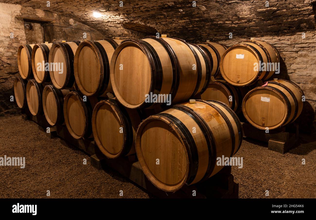 Monthelie, Frankreich - 30. Juni 2020: Weinfässer im Keller der domaine Boussy, Monthalie, Burgund, Frankreich. Stockfoto
