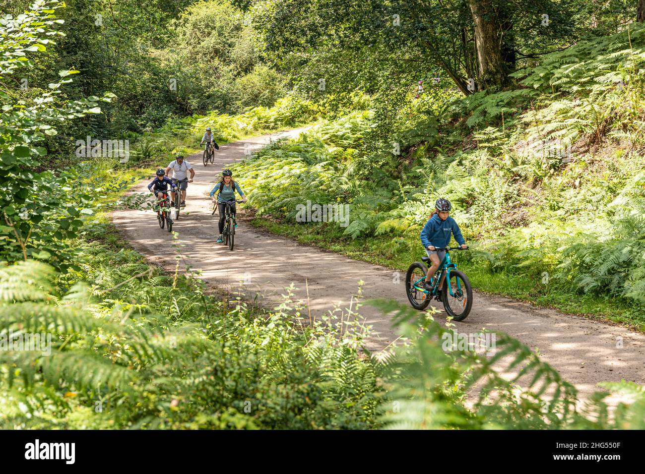 Radfahrer genießen den Forest of Dean Family Cycle Trail in der Nähe von Cannop, Coleford, Gloucestershire.UK Stockfoto
