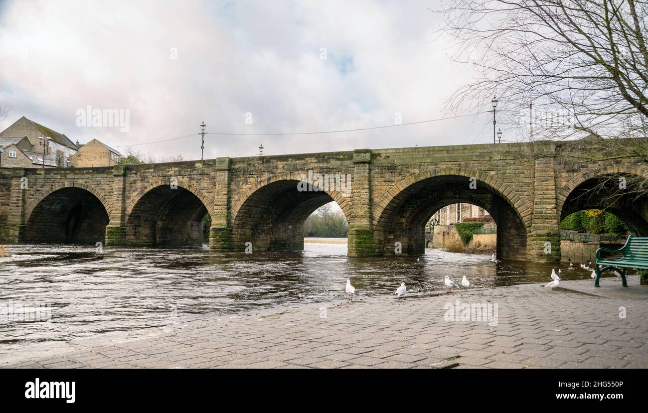 Die Wetherby Bridge, die den Fluss Wharfe überspannt, ist ein antikes Denkmal und ein denkmalgeschütztes Bauwerk der Klasse II, Wetherby, North Yorkshire, England, Großbritannien Stockfoto