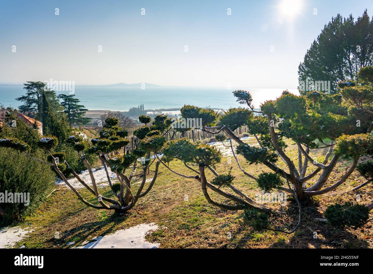 Folly Arboretum am Plattensee in Badacsonyors an einem sonnigen Wintertag Stockfoto