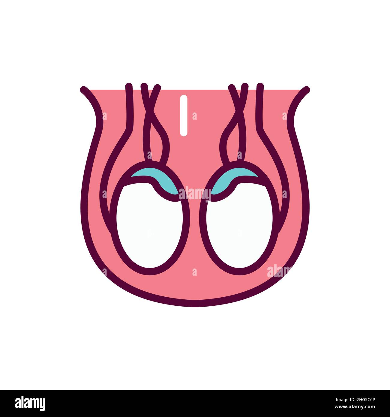 Symbol für die Farbleitung des Hodensacks des menschlichen Organs. Isoliertes Vektorelement. Skizzieren Sie das Piktogramm für Webseite, mobile App, Promo Stock Vektor