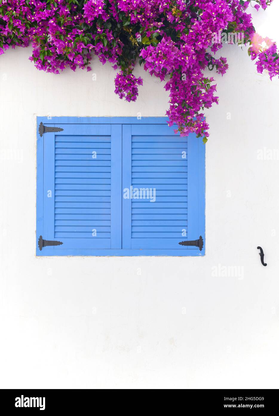 Bougainvillea auf einer weißen Wand mit blauen Fensterläden im weißen Dorf Agua Amarga, Almeria, Andalusien Stockfoto