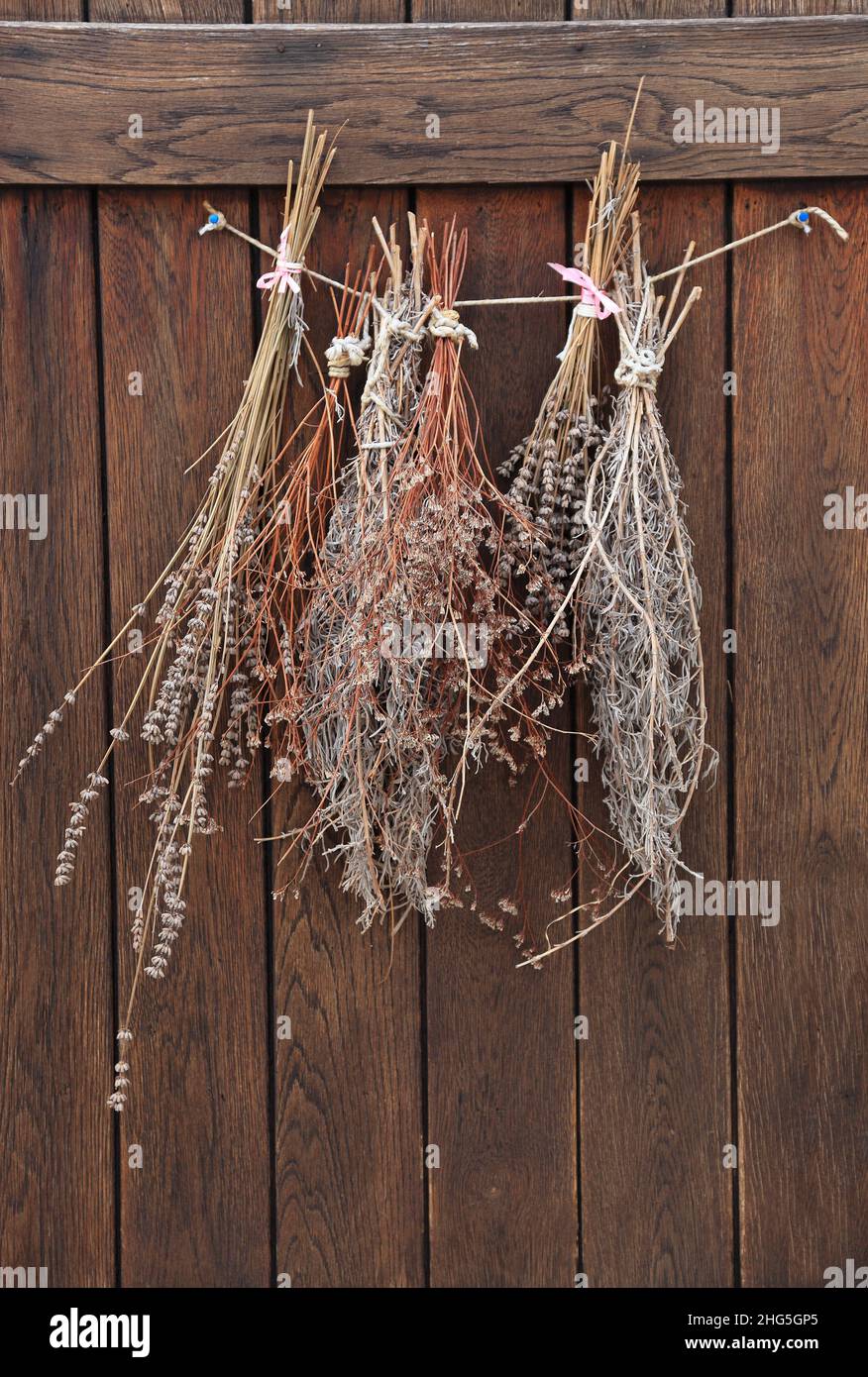 Getrocknete Kräuter hängen an einer Holzwand Stockfoto