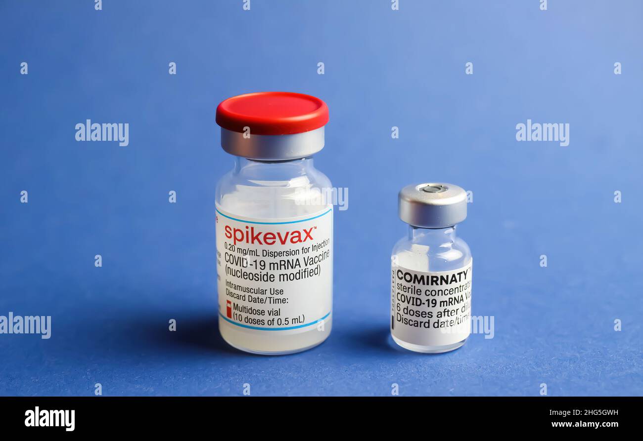 Viersen, Deutschland - Januar 9. 2022: Nahaufnahme von zwei isolierten mRNA-Impfserumfläschchen (Moderna Spikevax und BioNTech Pfizer Comirnaty), blauer Backgr Stockfoto