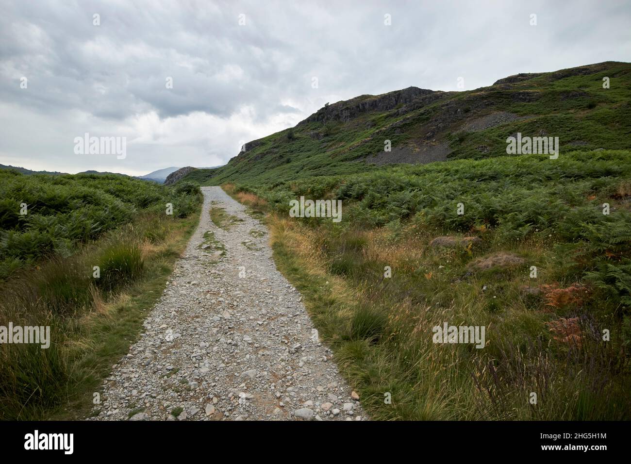 Wandern auf dem Weg rund um loughrigg Fell Lake District, cumbria, england, großbritannien Stockfoto