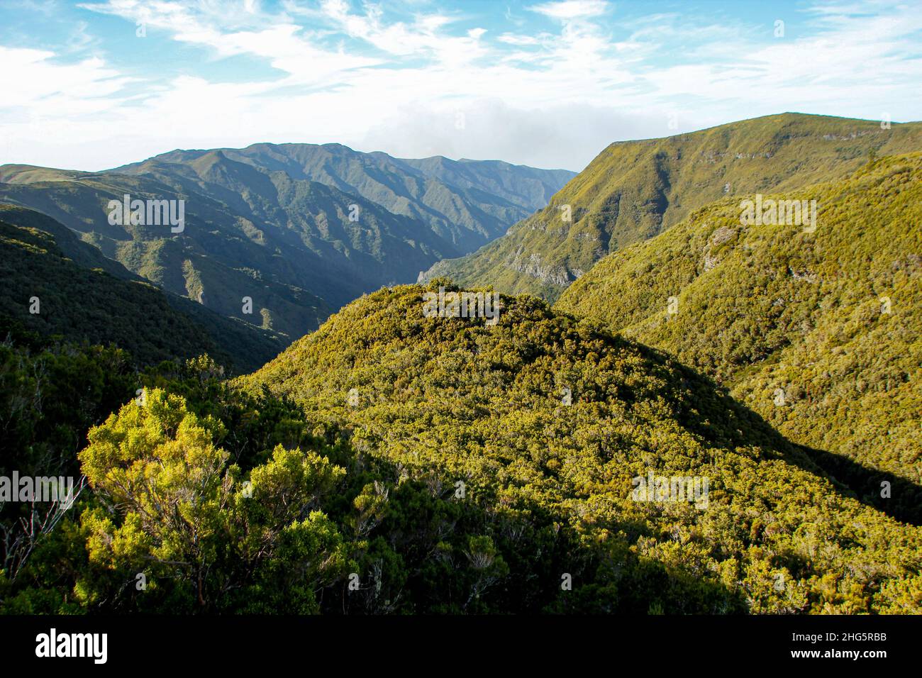 Panoramablick auf das Tal Ribeira da Janela vom Wanderweg Levada das 25 Fontes, Rabaçal, Madeira, Portugal Stockfoto