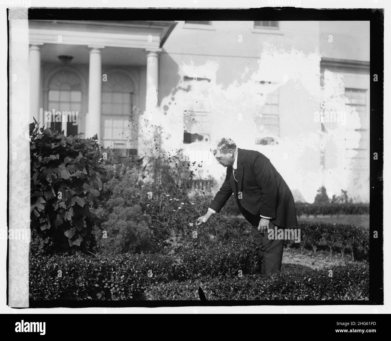 Senator Hiram Johnson Stockfoto