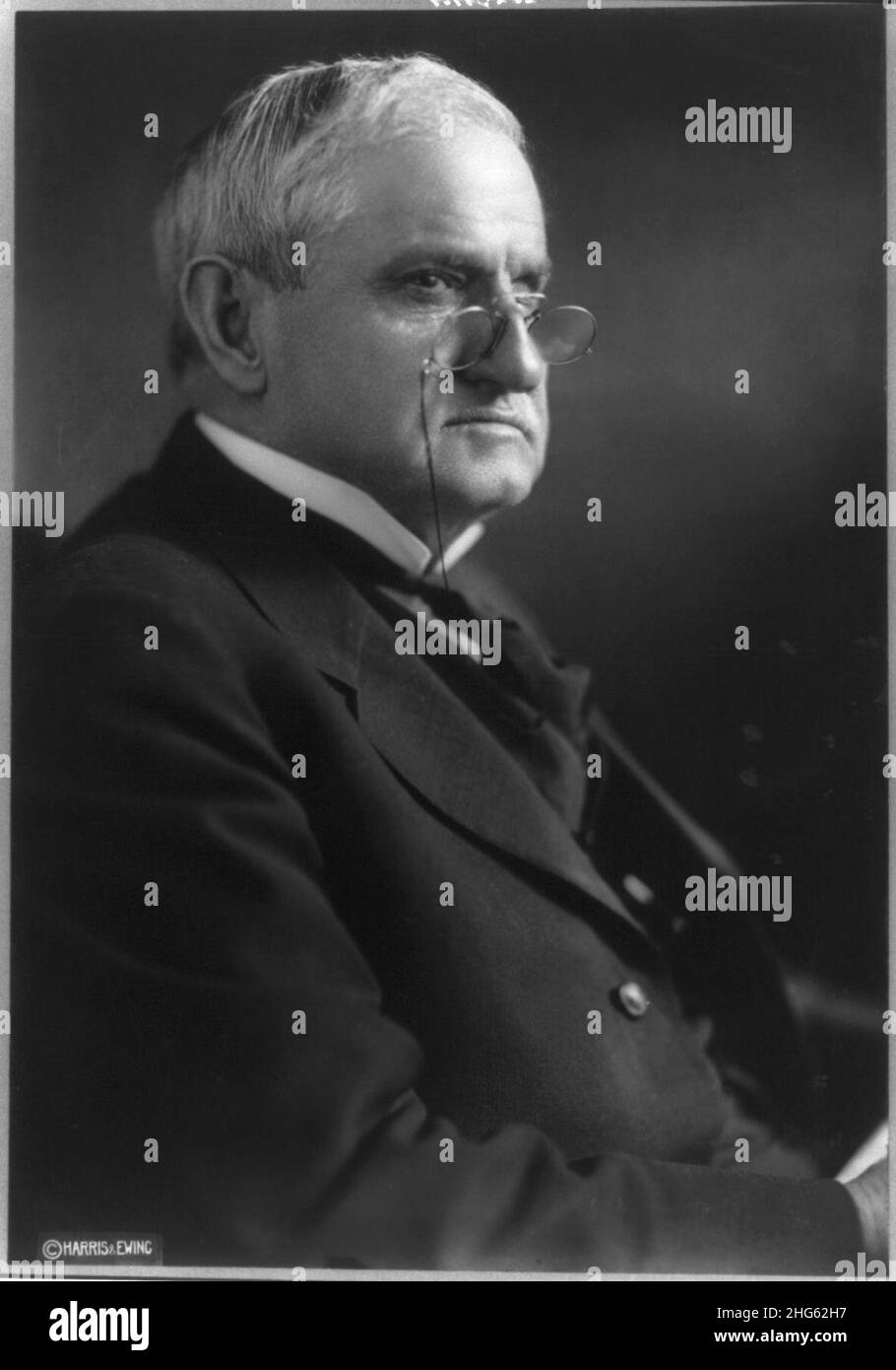 Senator Benjamin Tillman, 1847-1918, Büste Portrait, richtige Profil Stockfoto