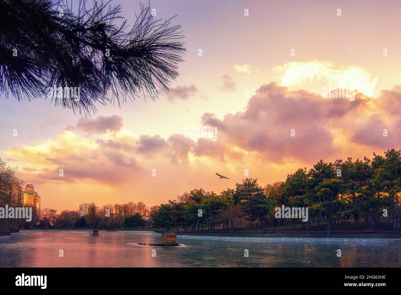 Winter Stadtpark bei Sonnenuntergang und ein gefrorener See mit Bäumen ohne Blätter Stockfoto