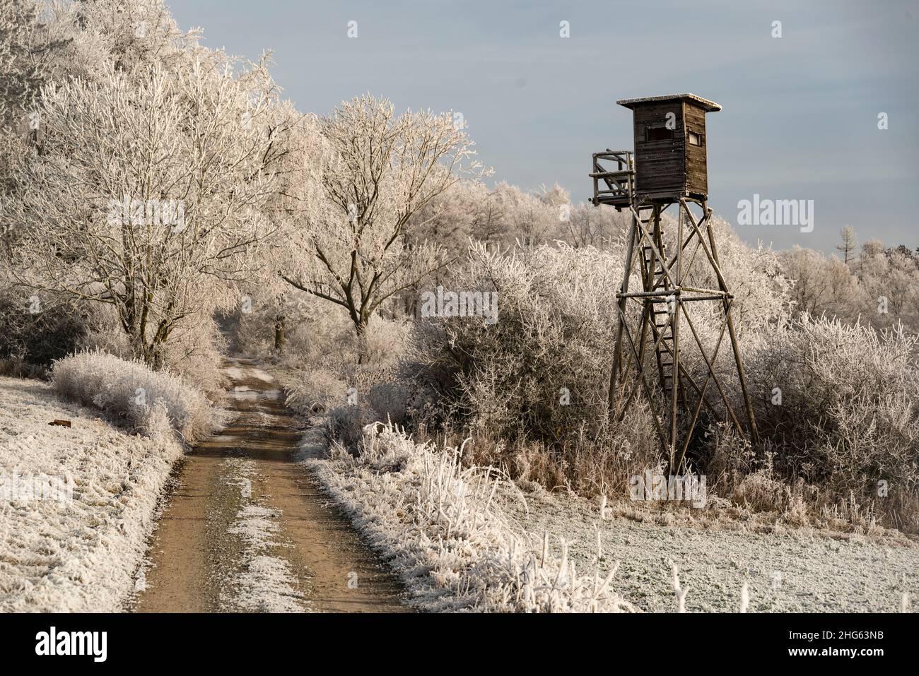 Hunter's hoher Sitz in einer malerischen Winterlandschaft mit weißen Milchbäumen entlang eines Waldweges, Rühler Schweiz, Weserbergland, Deutschland Stockfoto