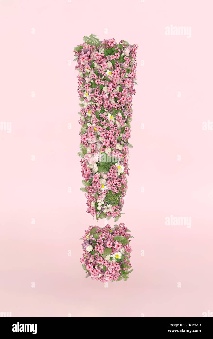 Kreatives Ausrufezeichen-Konzept aus frischen Frühlingsblumen. Blumenschriftkonzept auf pastellrosa Hintergrund. Stockfoto