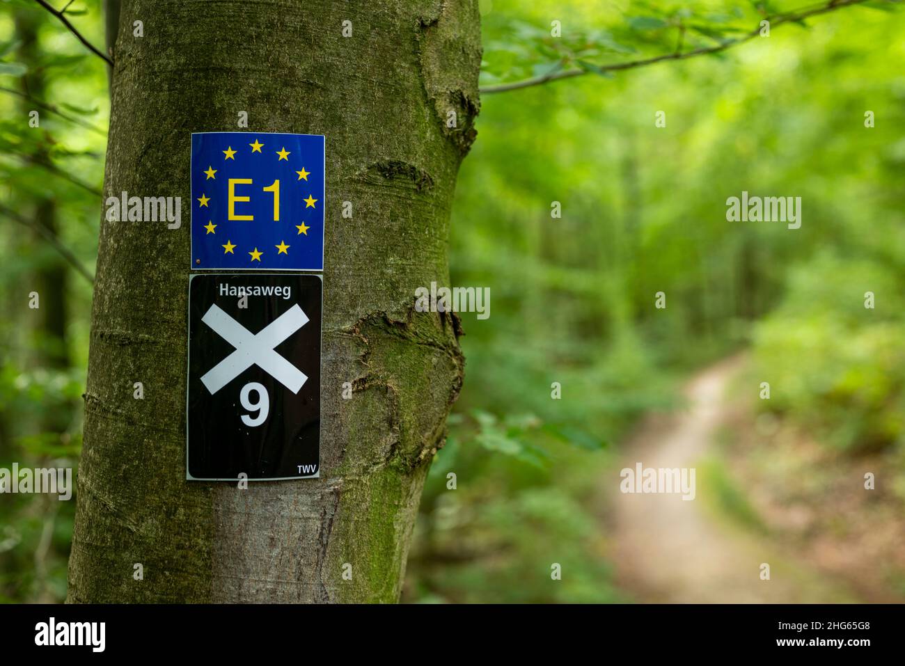 Wegmarkierungen für den „Europäischen Fernwanderweg E1“ und den „Emmerweg X9“ auf einem Wanderweg in der Nähe von Aerzen, Weserbergland, Deutschland Stockfoto