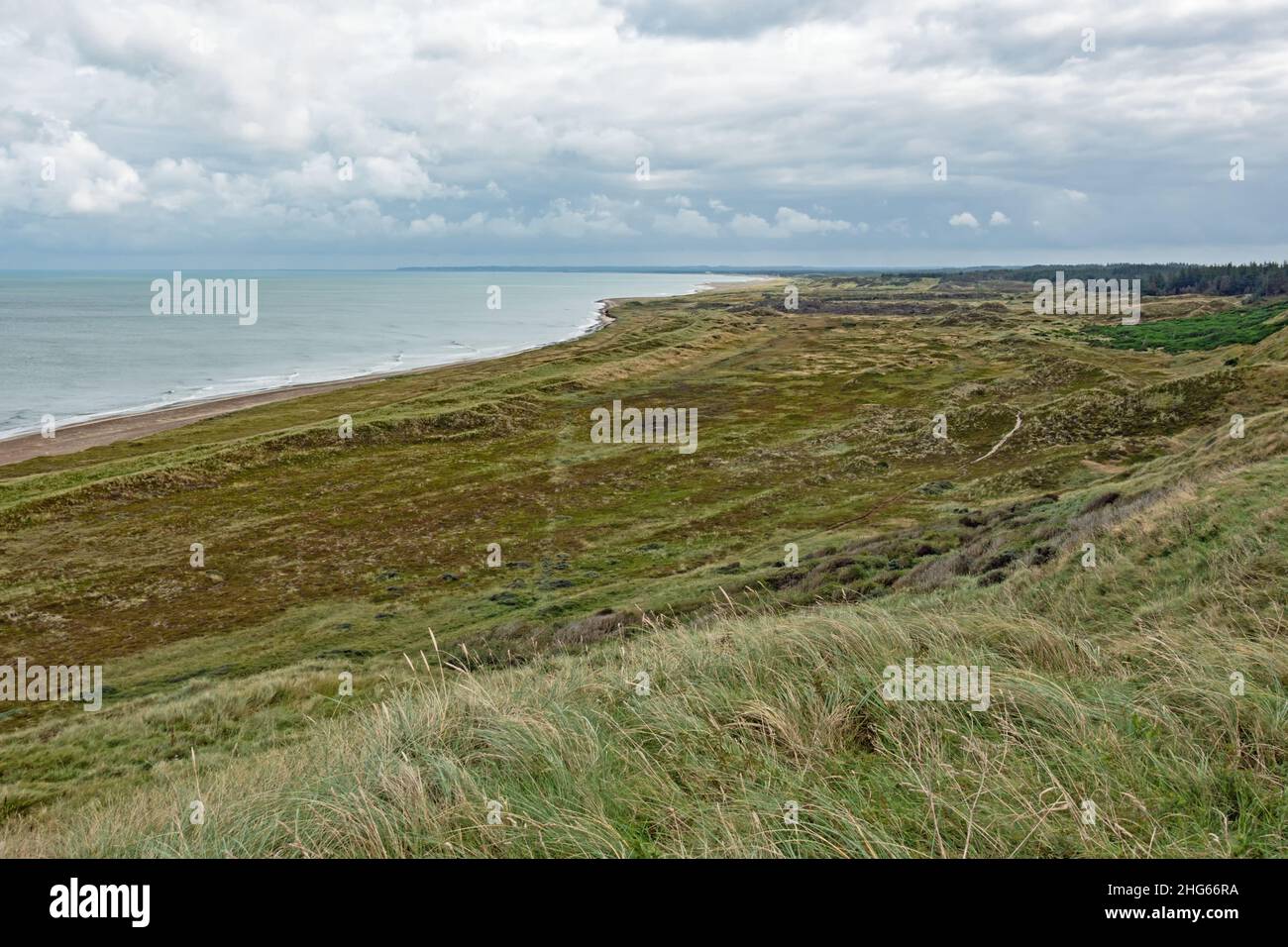 Blick von Bjulberg auf die Landschaft der Westküste von Jütland in Dänemark Stockfoto