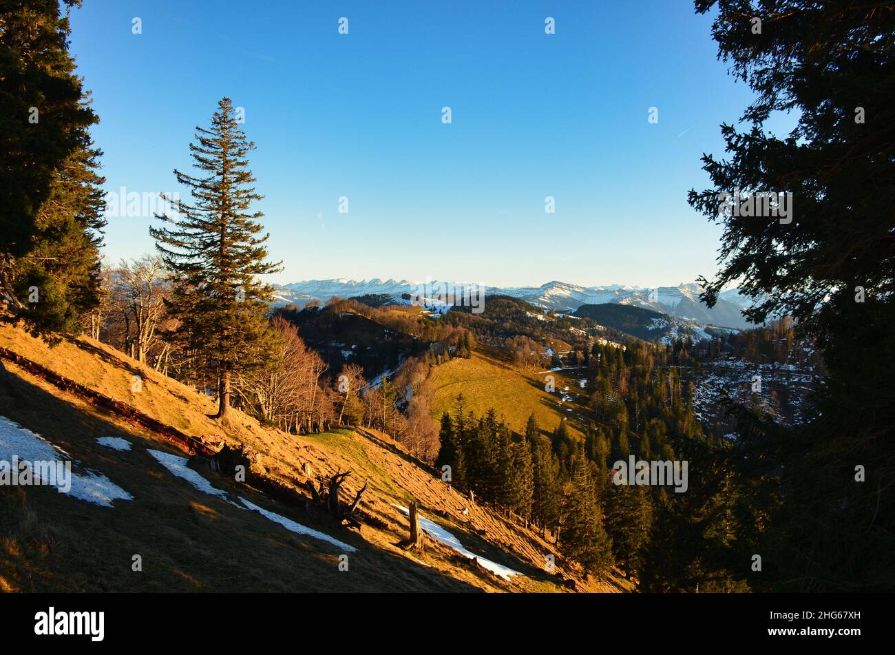 Blick vom Schnebelhorn auf die verschneiten churfirsten in den toggenburger appenzeller alpen. Wunderschönes Landschaftsbild Stockfoto