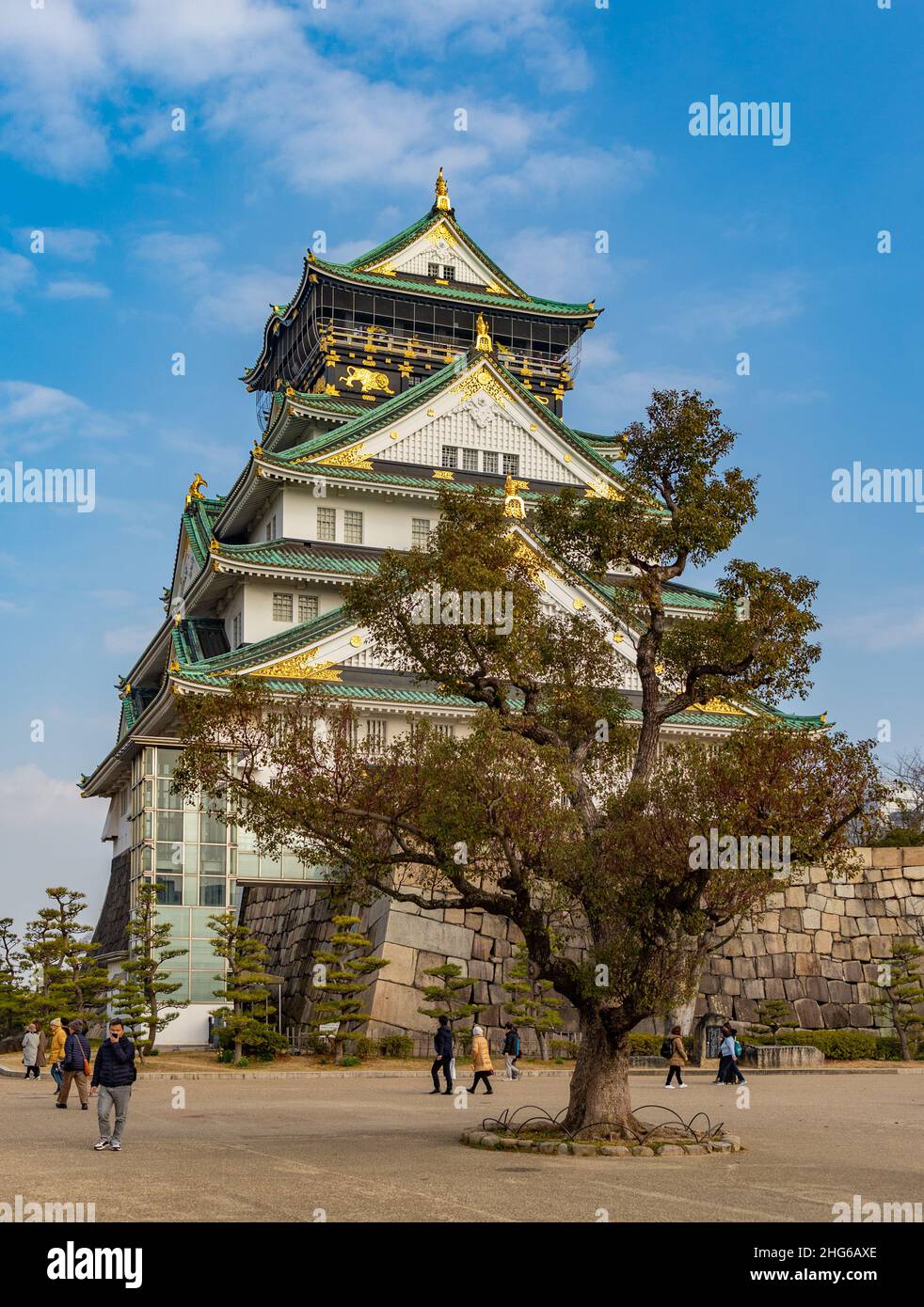 Ein Bild der Burg von Osaka und ein großer Baum daneben. Stockfoto