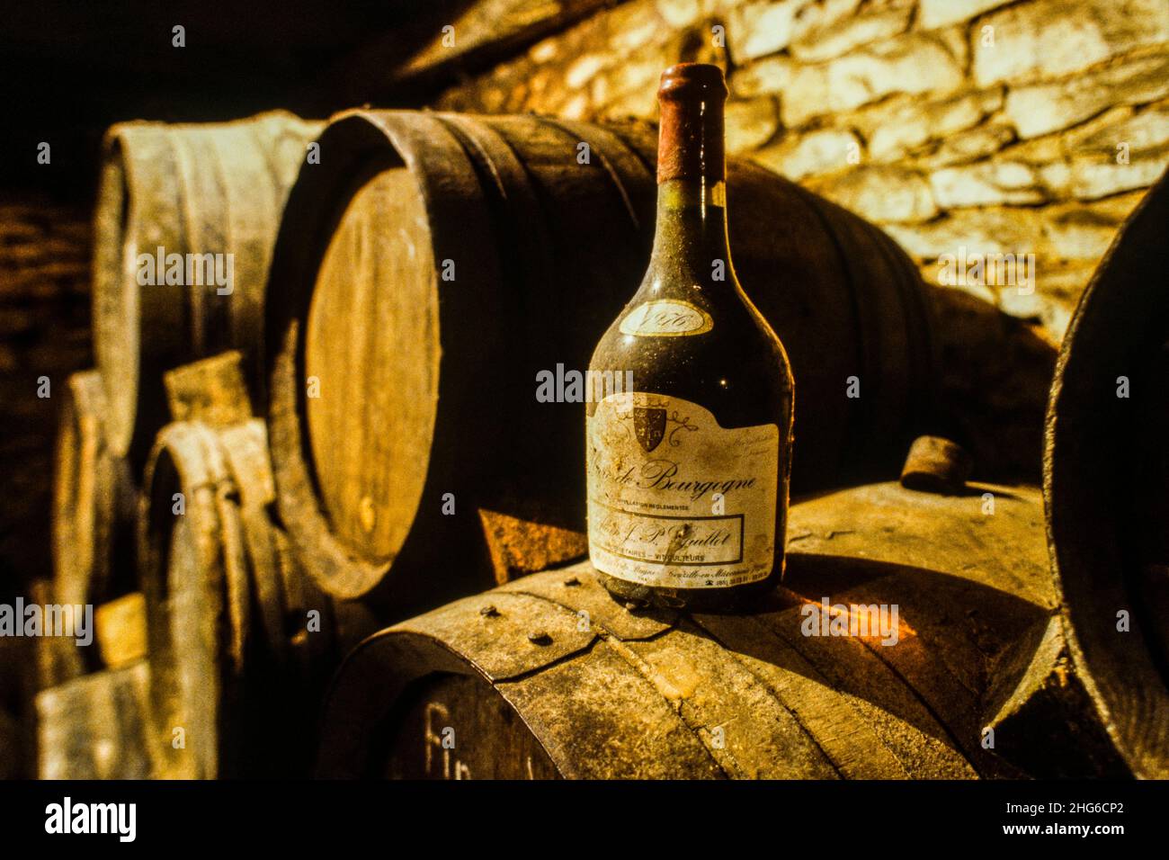 Französischer bourgogne Weinkeller mit Fässern Stockfoto