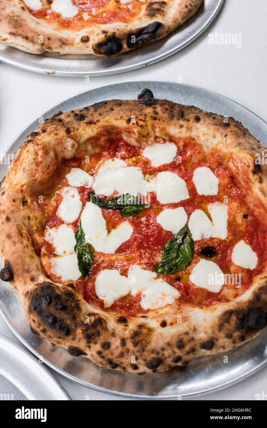Margherita Pizza mit frischem Mozzarella und Basilikum auf Tablett Stockfoto