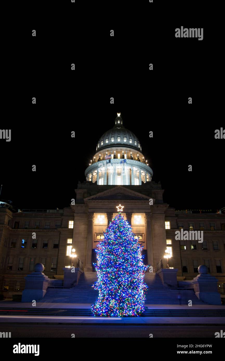 Offizieller Weihnachtsbaum des Staates Idaho 2021 Stockfoto
