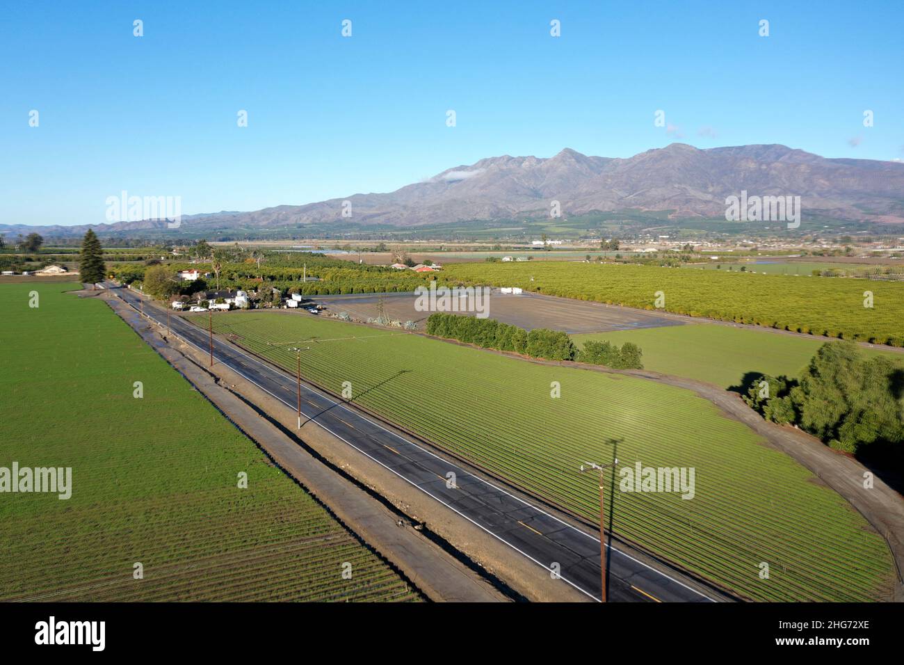 Luftaufnahme von grünen produktiven Farmen in der Nähe von Fillmore, Kalifornien Stockfoto