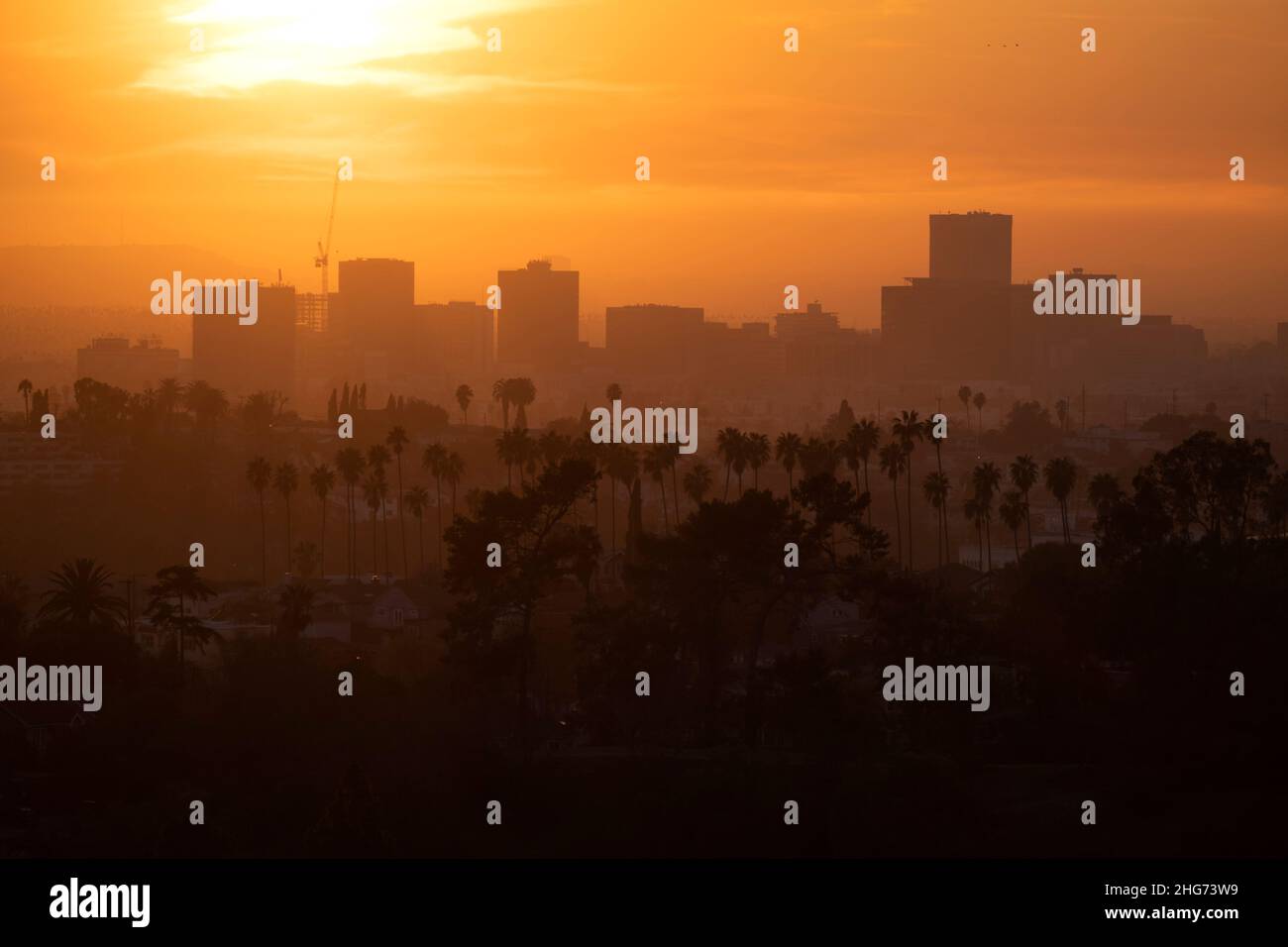 Dunstiger Sonnenuntergang über Los Angeles mit Palmen und Gebäuden Stockfoto