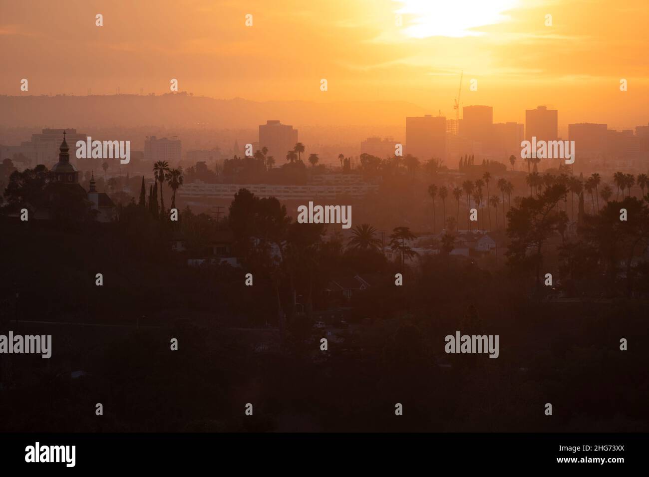 Dunstiger Sonnenuntergang über Los Angeles mit Palmen und Gebäuden Stockfoto