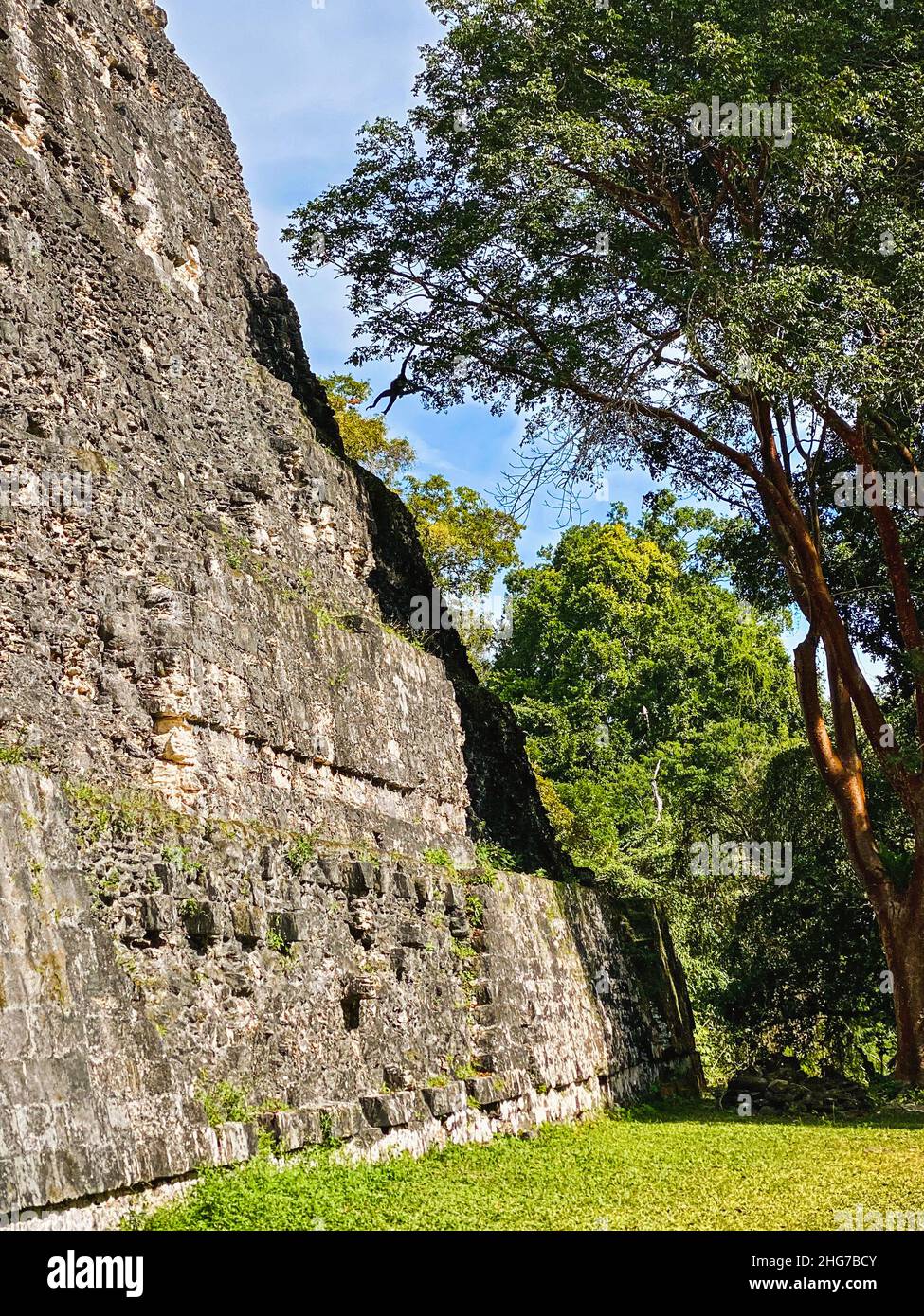 Nationalpark Tikal, Guatemala Stockfoto