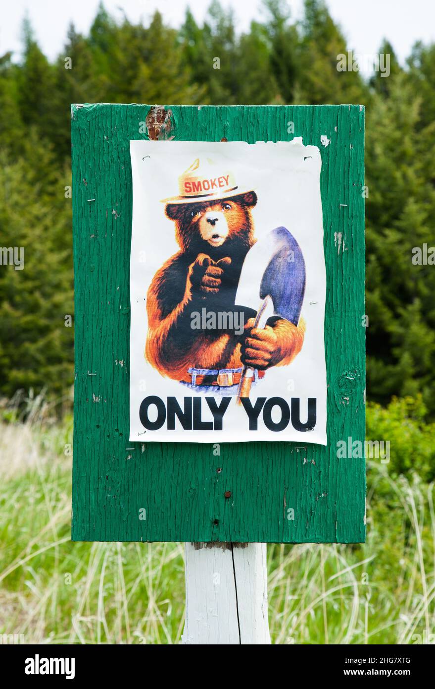 Smokey das Bear Forest Fire Warnschild mit Wäldern. Stockfoto