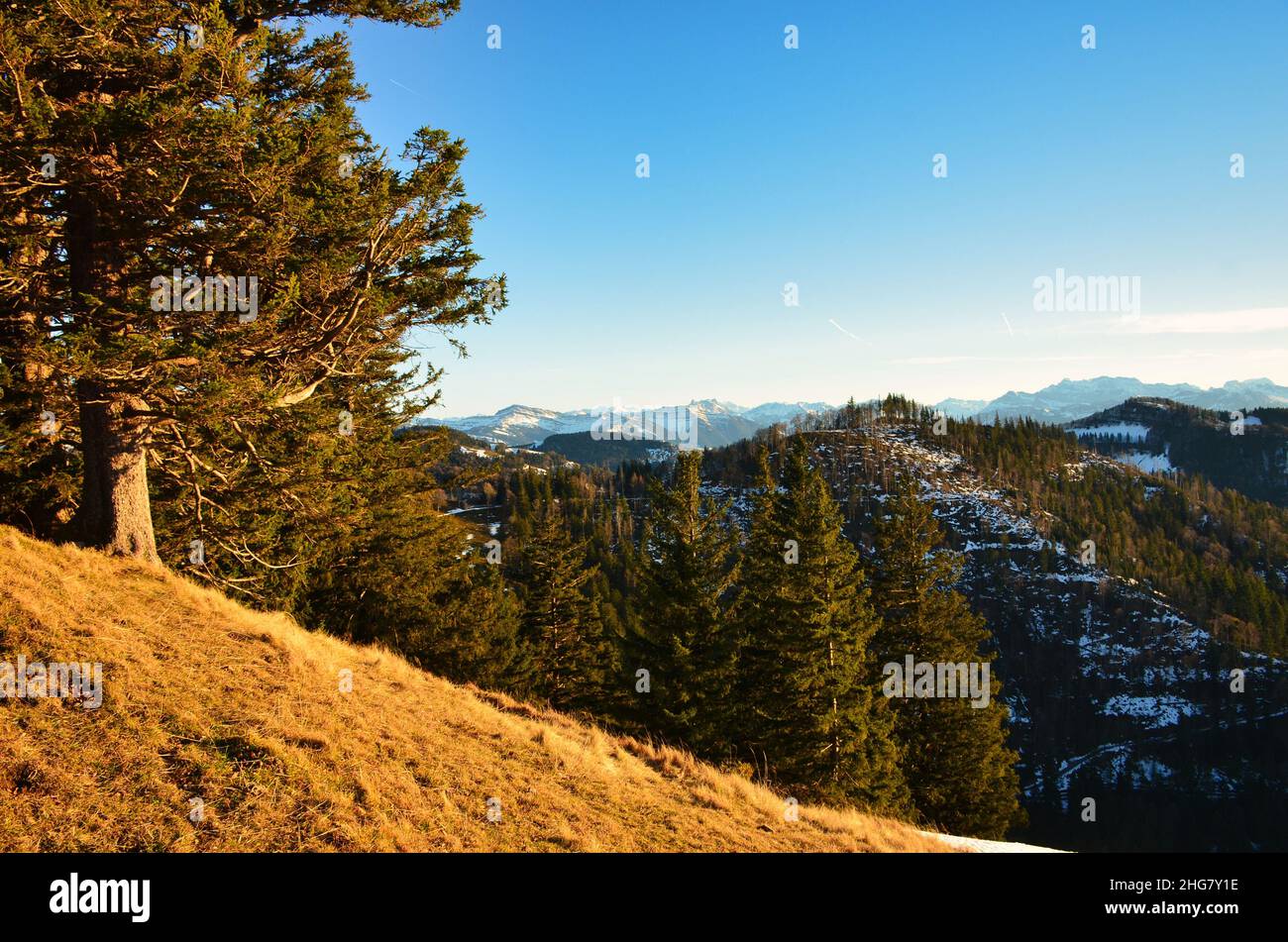 Schöne Abendstimmung auf einem schweizer Hügel. Die letzten Sonnenstrahlen erleuchten die wunderschöne Landschaft Stockfoto