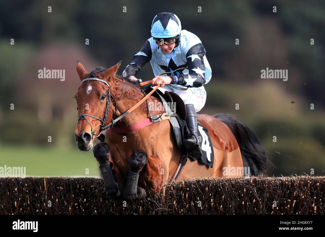 Aktenfoto vom 26-02-2020 von Destinee Royale mit Charlie Deutsch. Destinee Royale kann sich von einem enttäuschenden Saisonstart erholen, indem er am Donnerstag die Somerset National Handicap Chase in Wincanton landet. Ausgabedatum: Mittwoch, 19. Januar 2022. Stockfoto