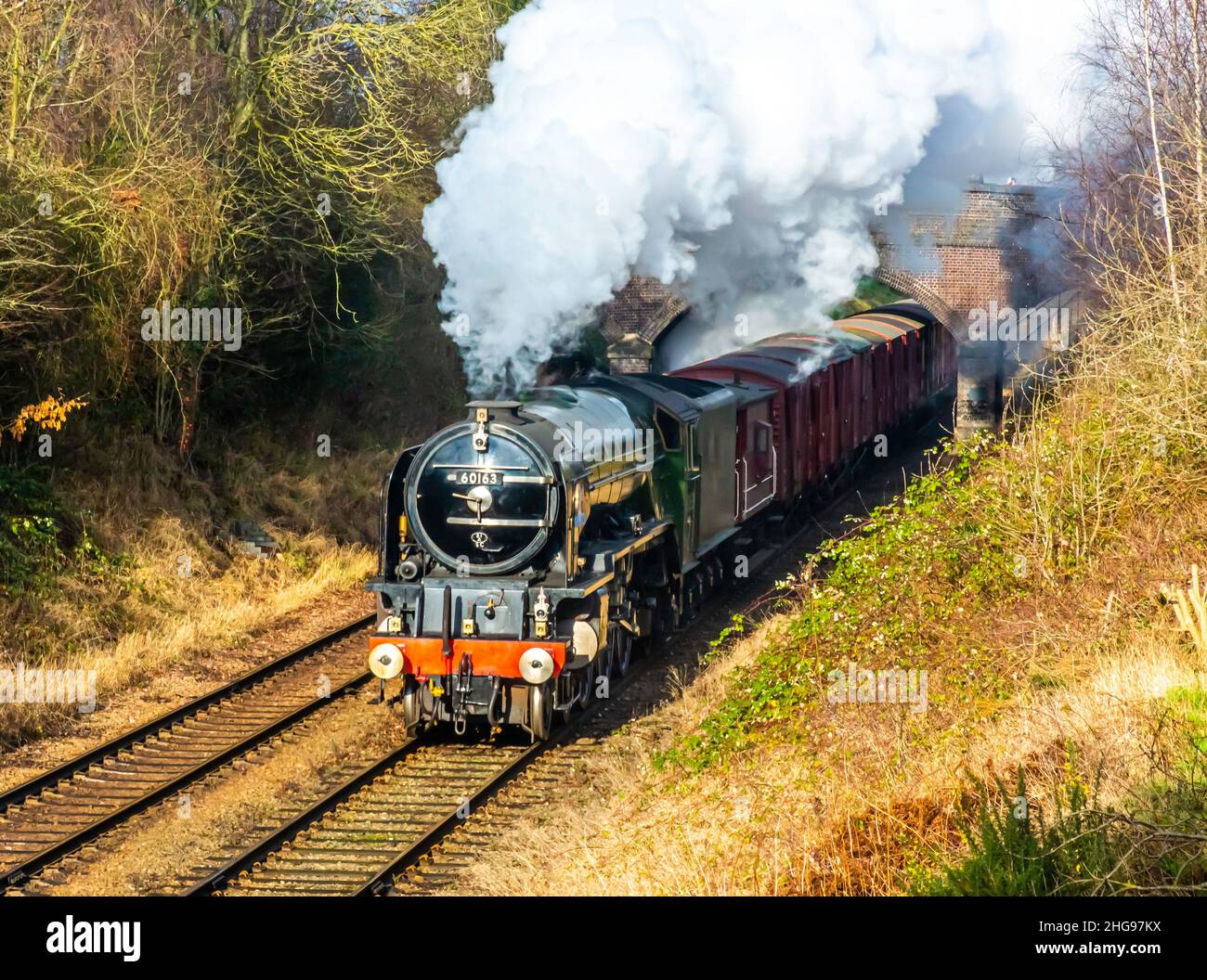 BR Std Class 5 Lokomotive, die einen Personenzug schleppt Stockfoto