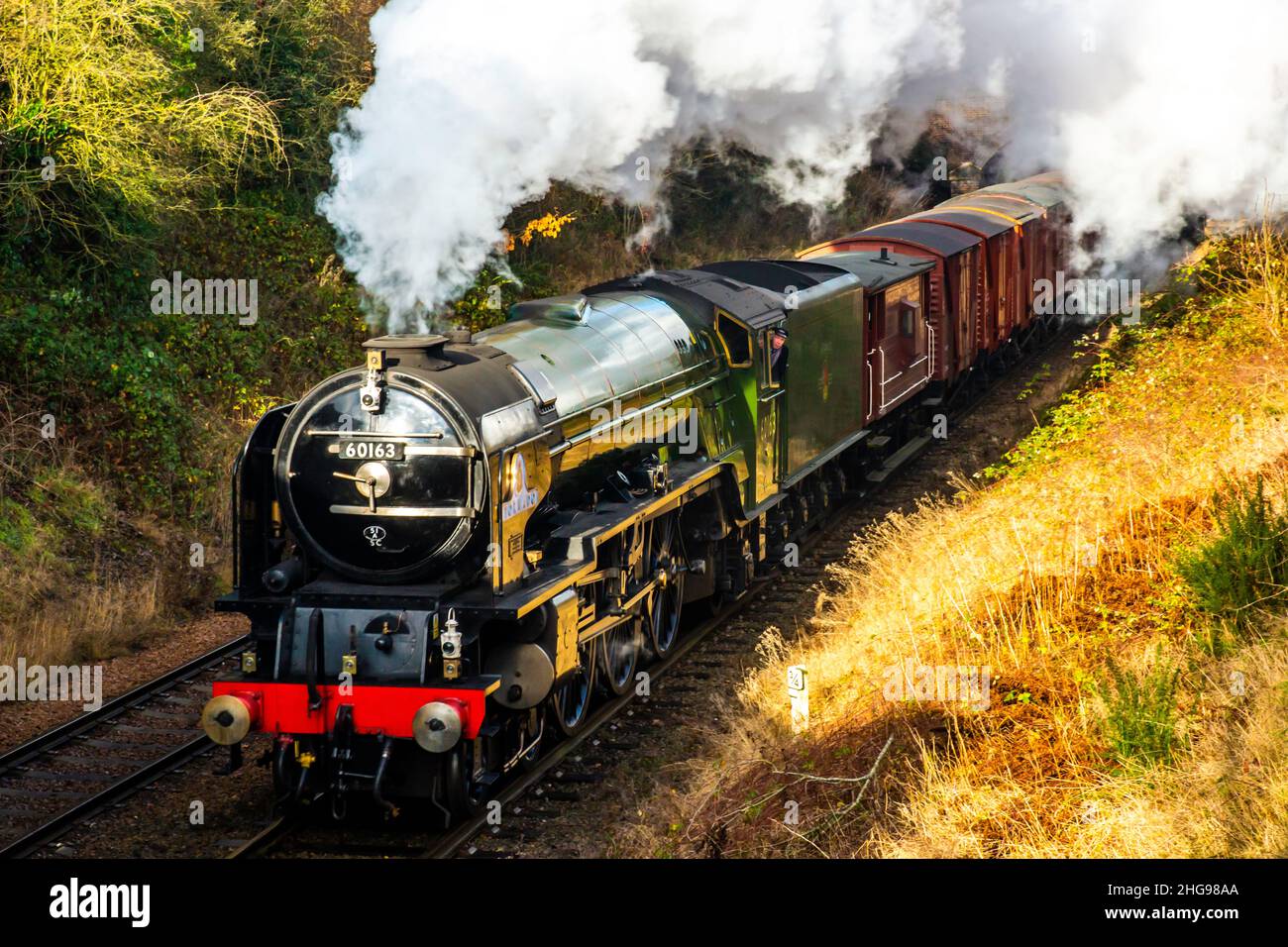 Baureihe A1 Dampflokomotive 60163 Tornado durch einen Schnitt Stockfoto
